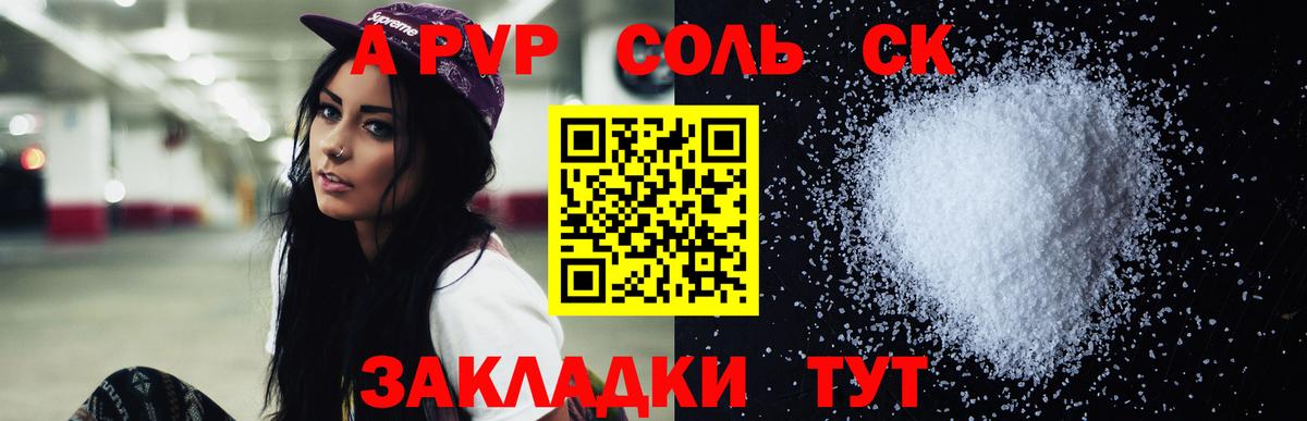 Альфа ПВП СК Сунжа