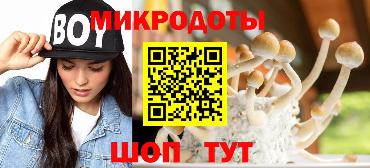 Сунжа  Псилоцибиновые грибы мицелий  Вход с VPN 