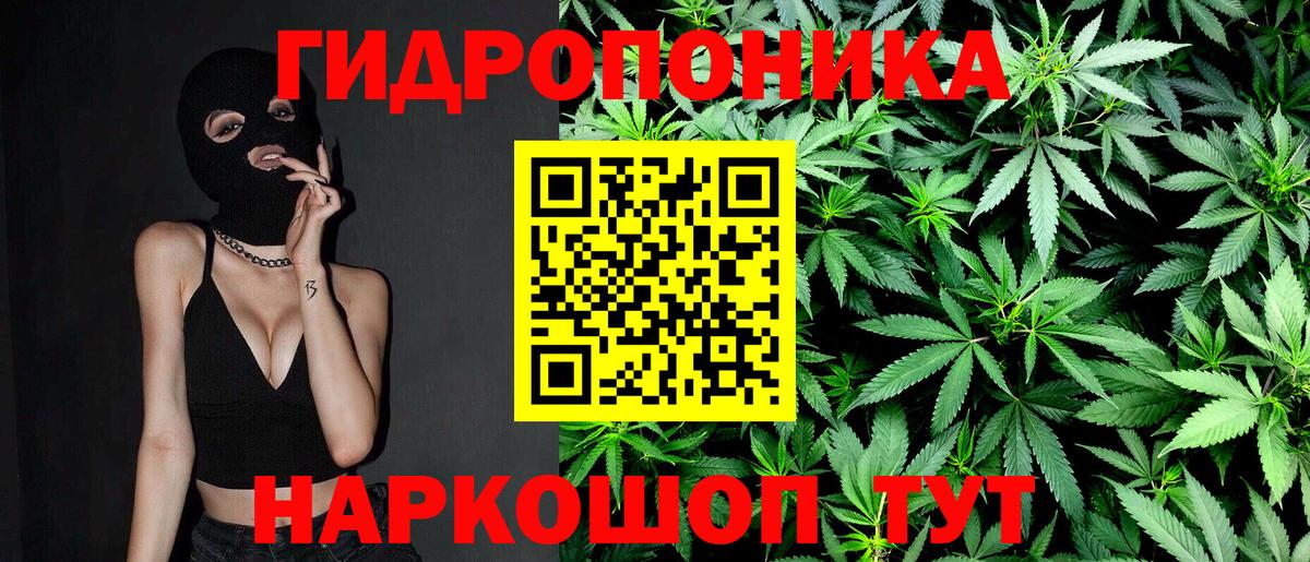 Шишки марихуана VHQ  Бошки марихуана VHQ  Вход с VPN  Сунжа 